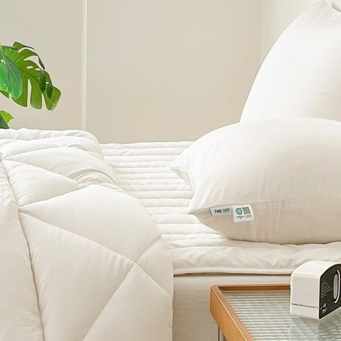 ����� �˷����ɾ� ���� ħ���е� ���������