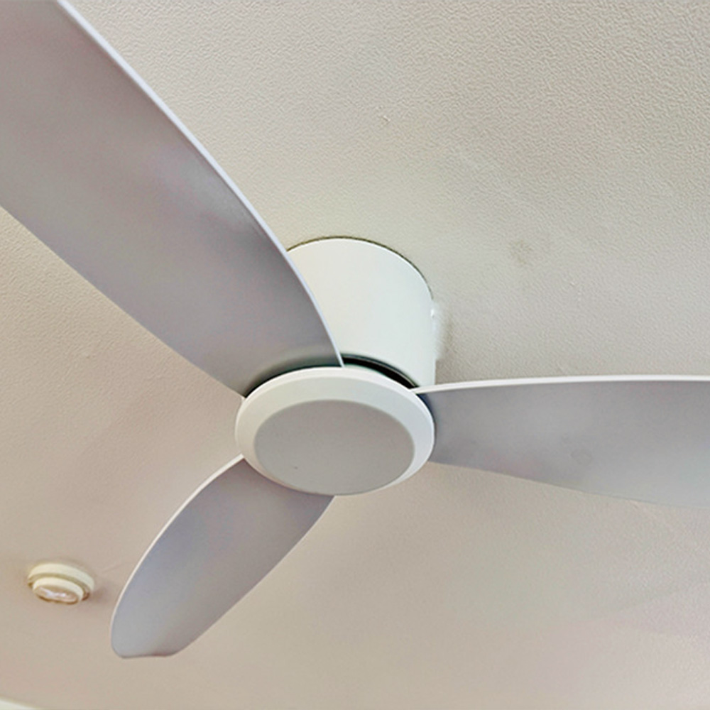 轺 BLDC V2 Ǹ 113/131cm(46/52ġ)2  A/S 