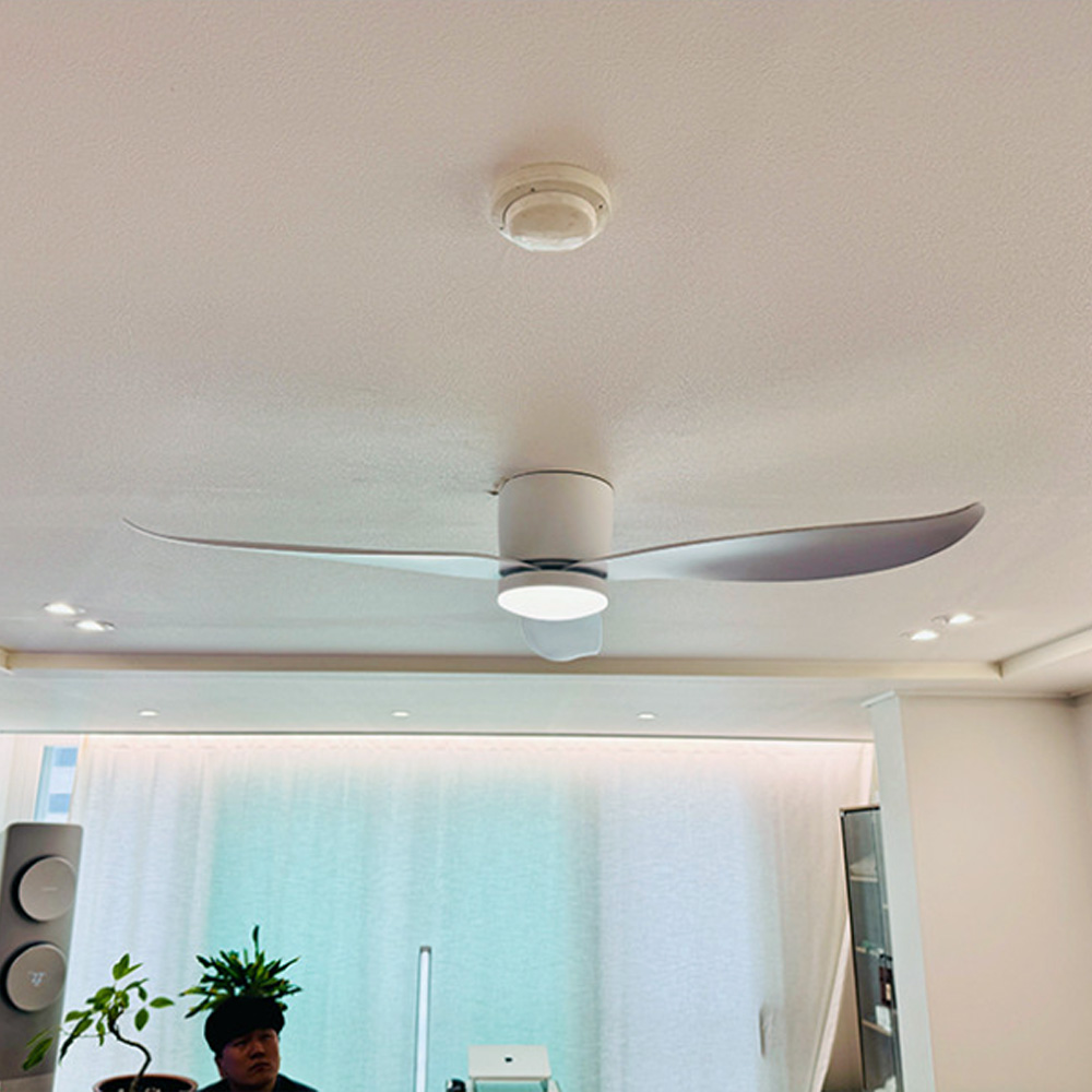 轺 BLDC V2 Ǹ 113/131cm(46/52ġ)2  A/S 