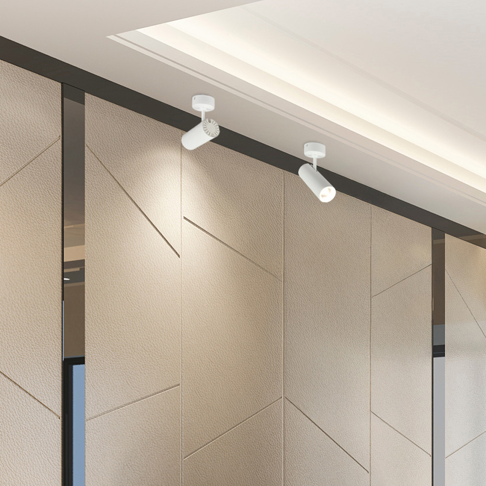 LED COB ī׽ ε 20W