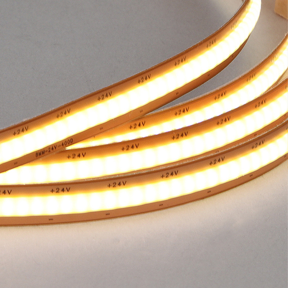 LED COB  ÷ú  24V 10M/ƮƮ