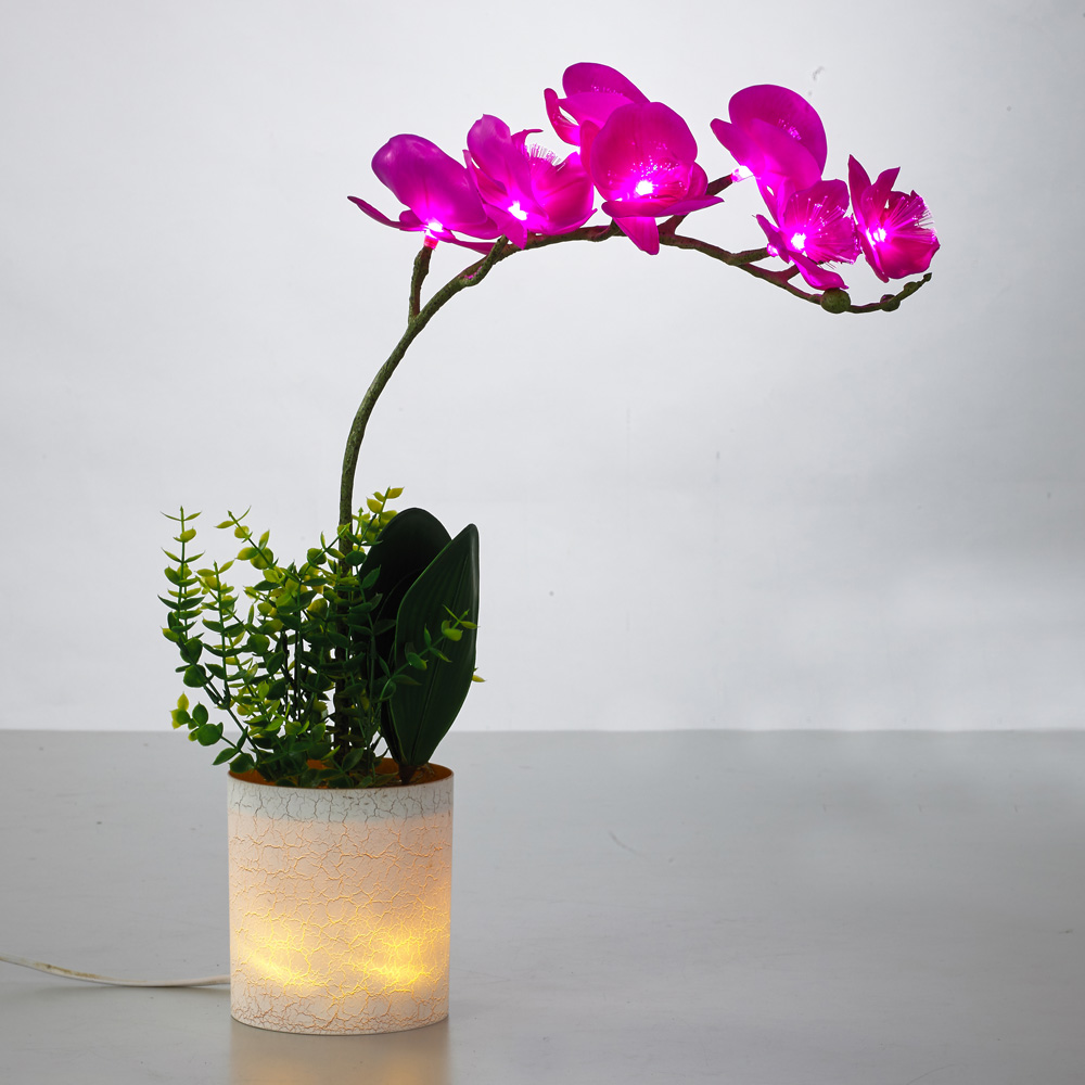 LED ���Ͼ� ��ȭ ���ĵ� ����