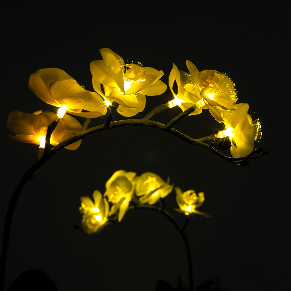 LED ���Ͼ� ��ȭ ���ĵ� ����