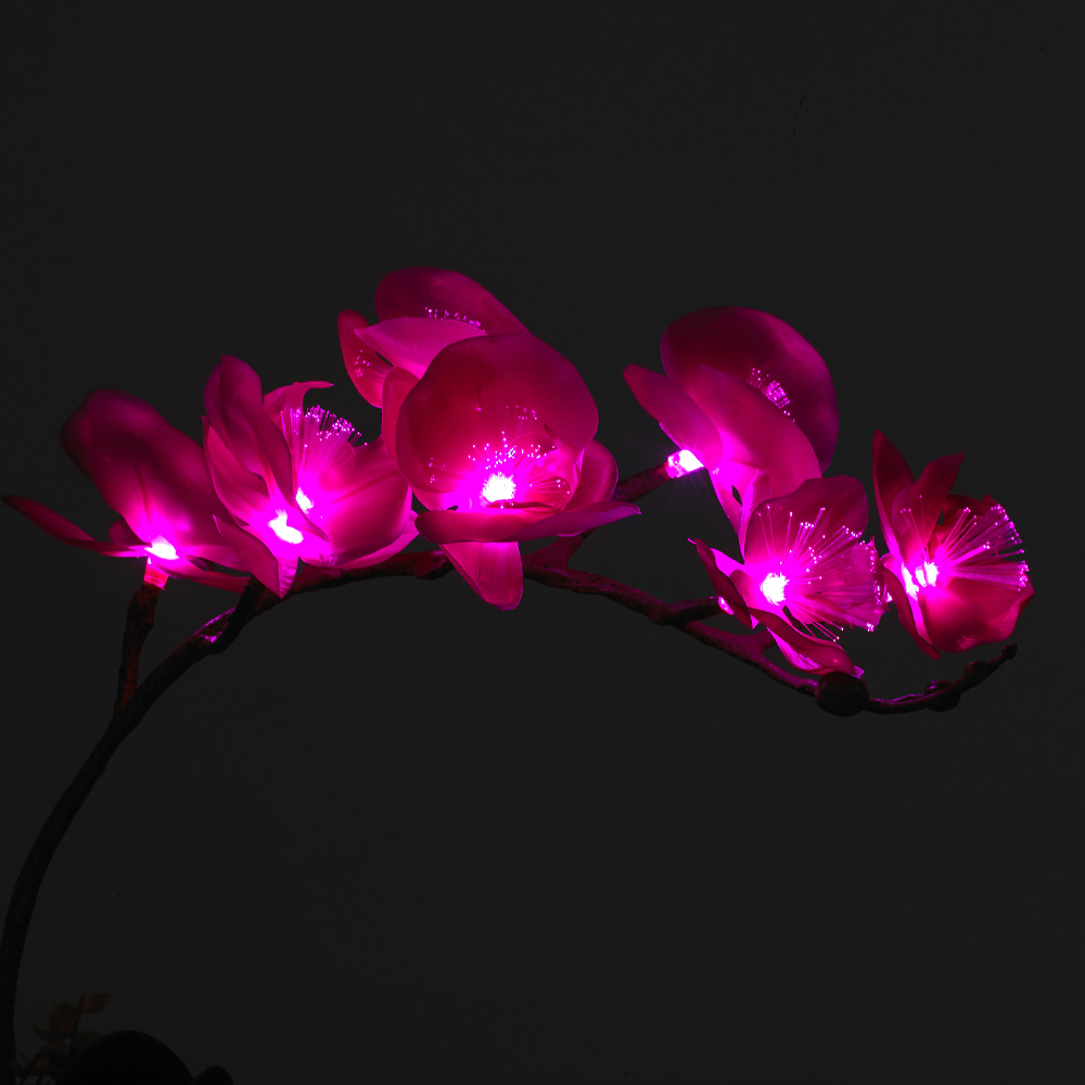 LED ���Ͼ� ��ȭ ���ĵ� ����