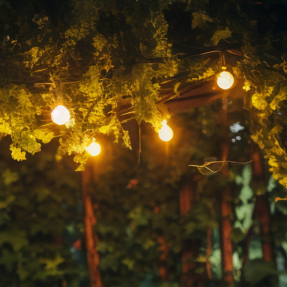 LED  ġ   20W
