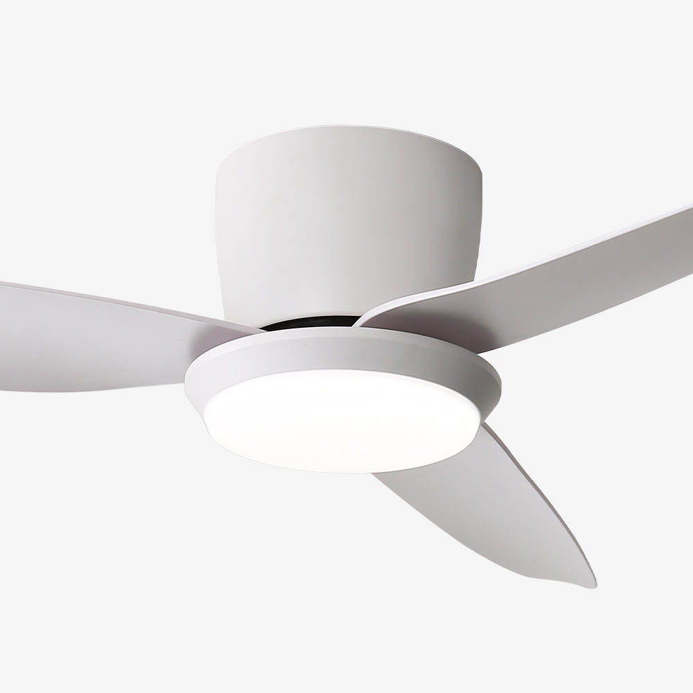LED   Ǹ  142cm(56ġ)