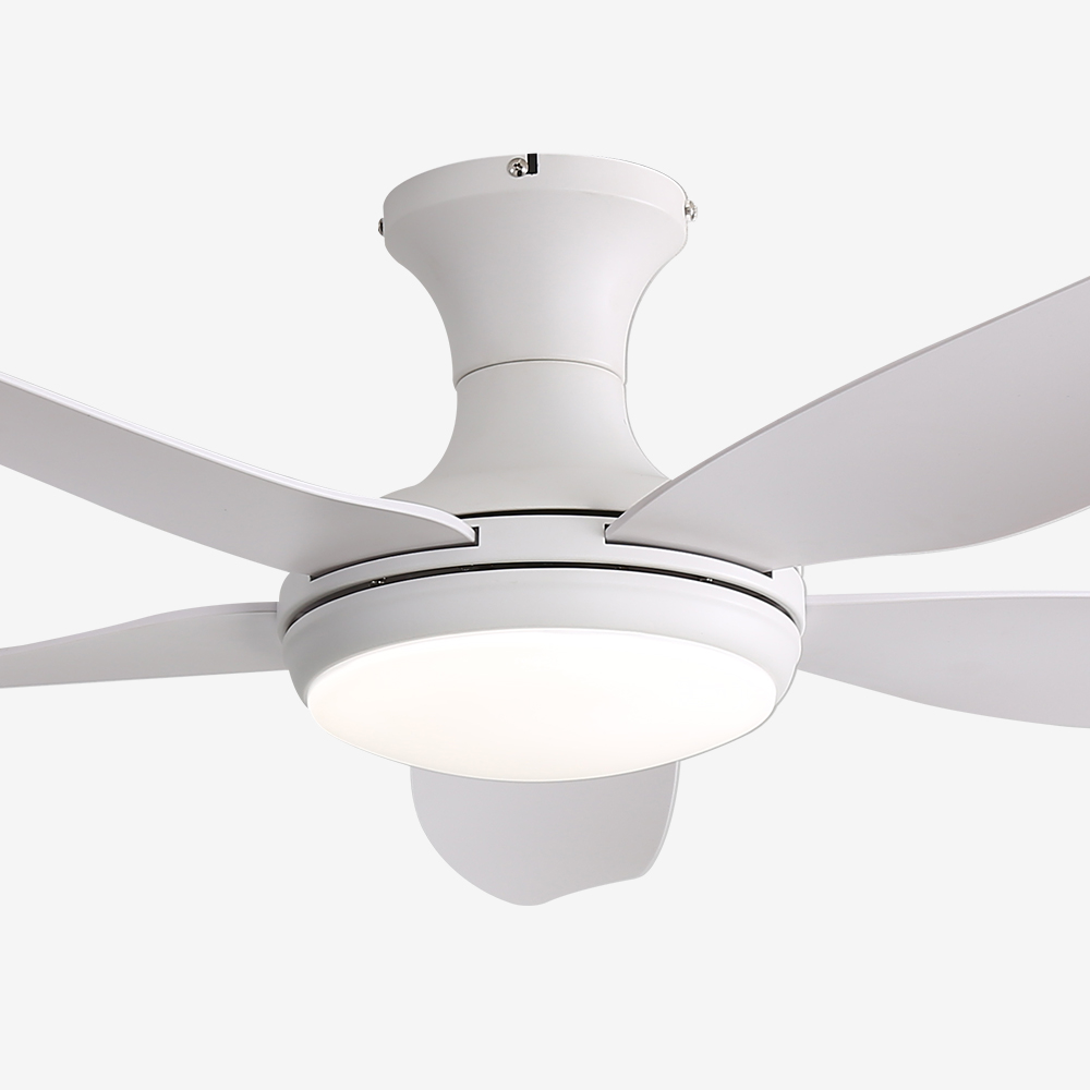 LED ÷翡  Ǹ  142cm(56ġ)