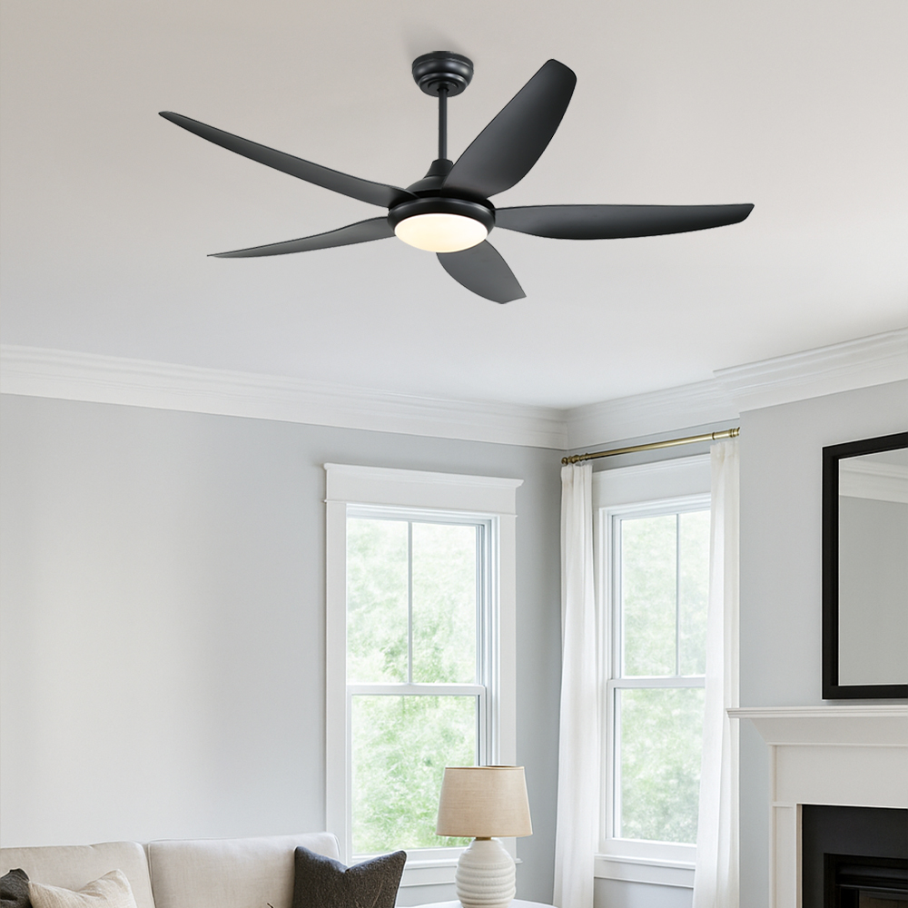 LED   Ǹ  142cm(56ġ)