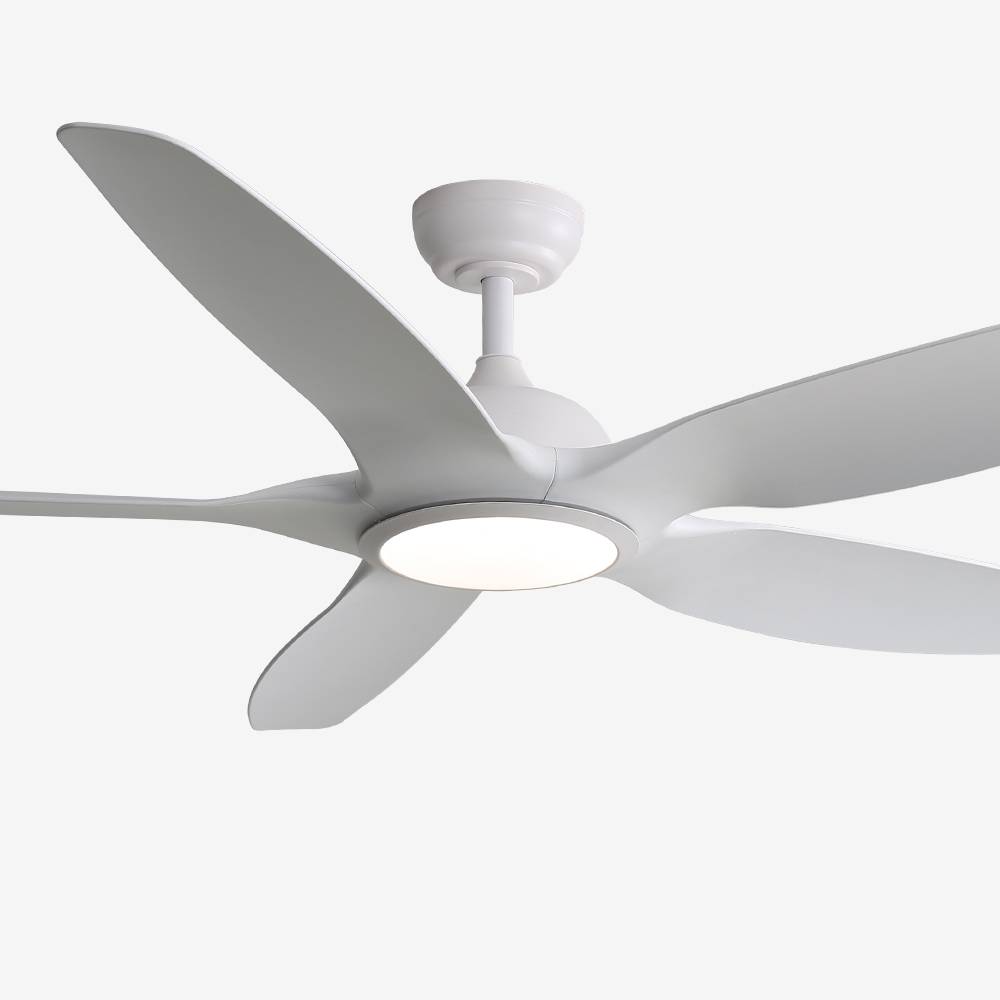 LED   Ǹ  152cm(60ġ)