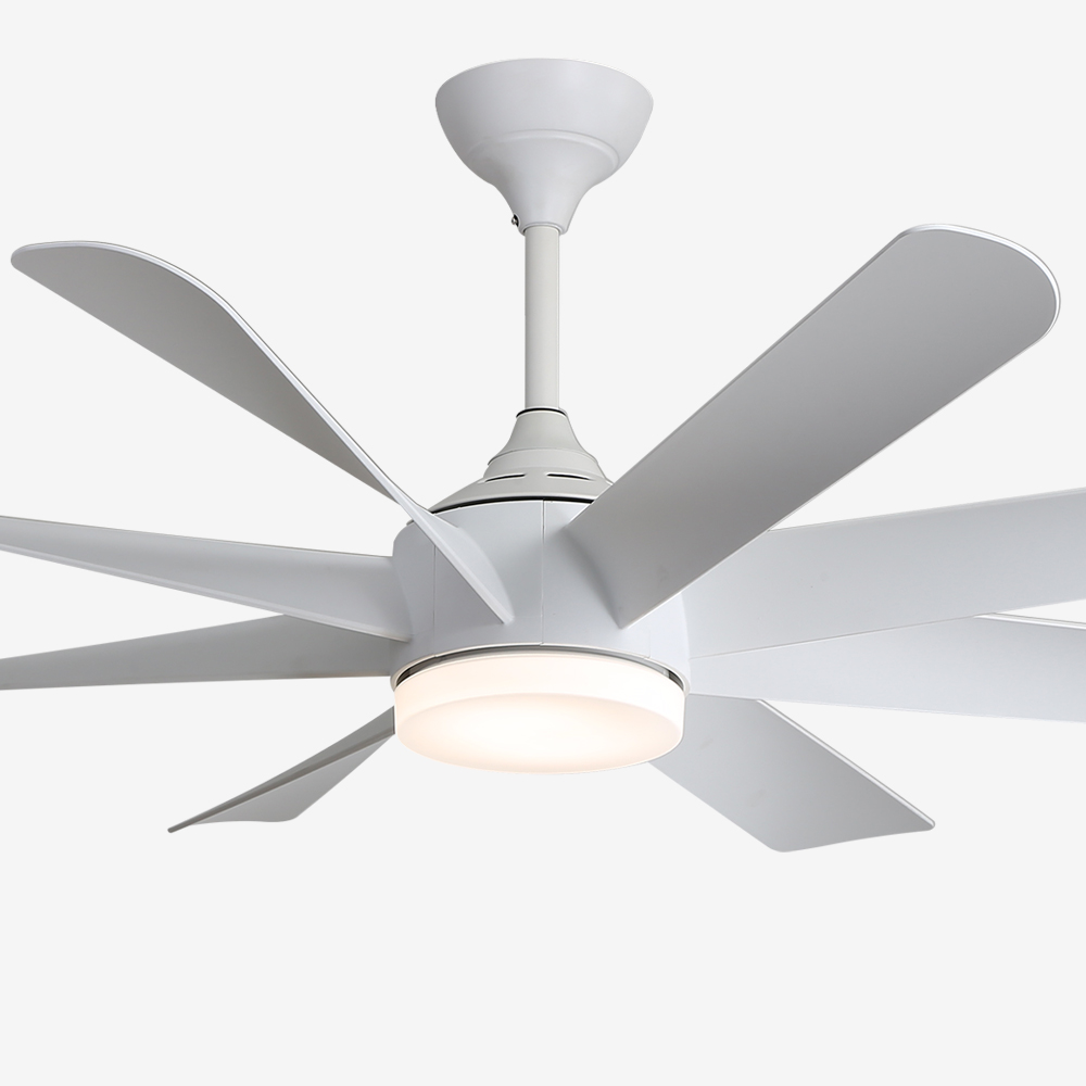 LED ÷ο  Ǹ  152cm(60ġ)